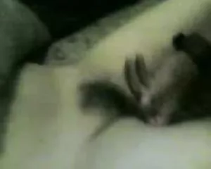 Pestello studente sesso gratis video erotici