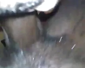 Negro regina il mio cazzo filma porno