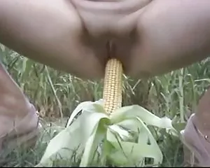 India se roux in el campo vecchia troia