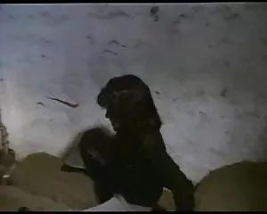 Sesso commedia, vintage cinema tedesco lass 2 video porno amatoriale