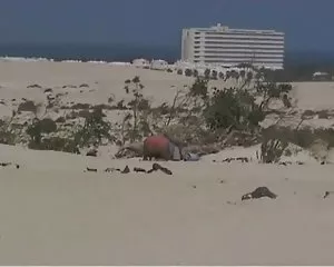 Mariels nipote e il vecchio sulla spiaggia signore nude